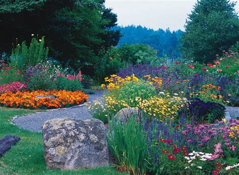 Plant Watering